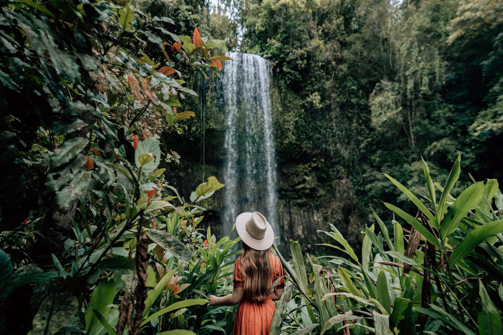 Ein Wasserfall im Regenwald.