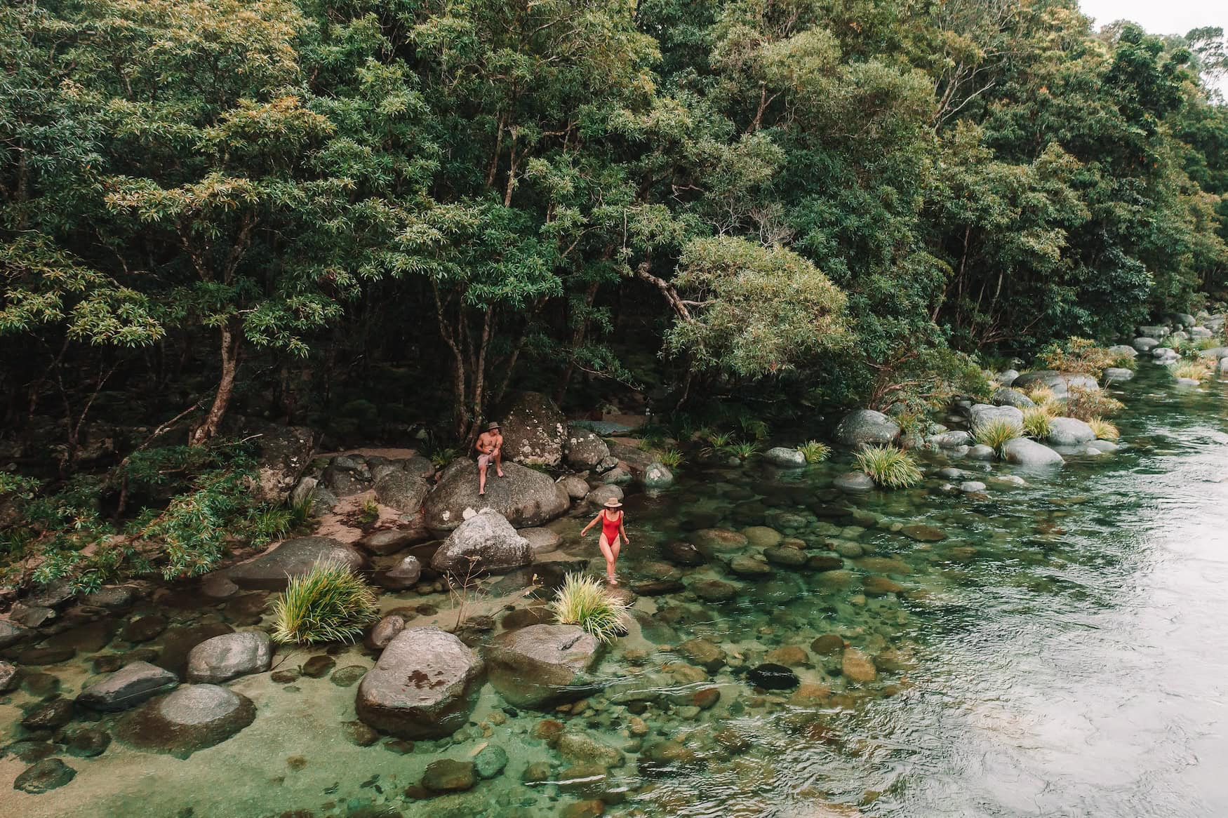 Der Daintree-Regenwald.