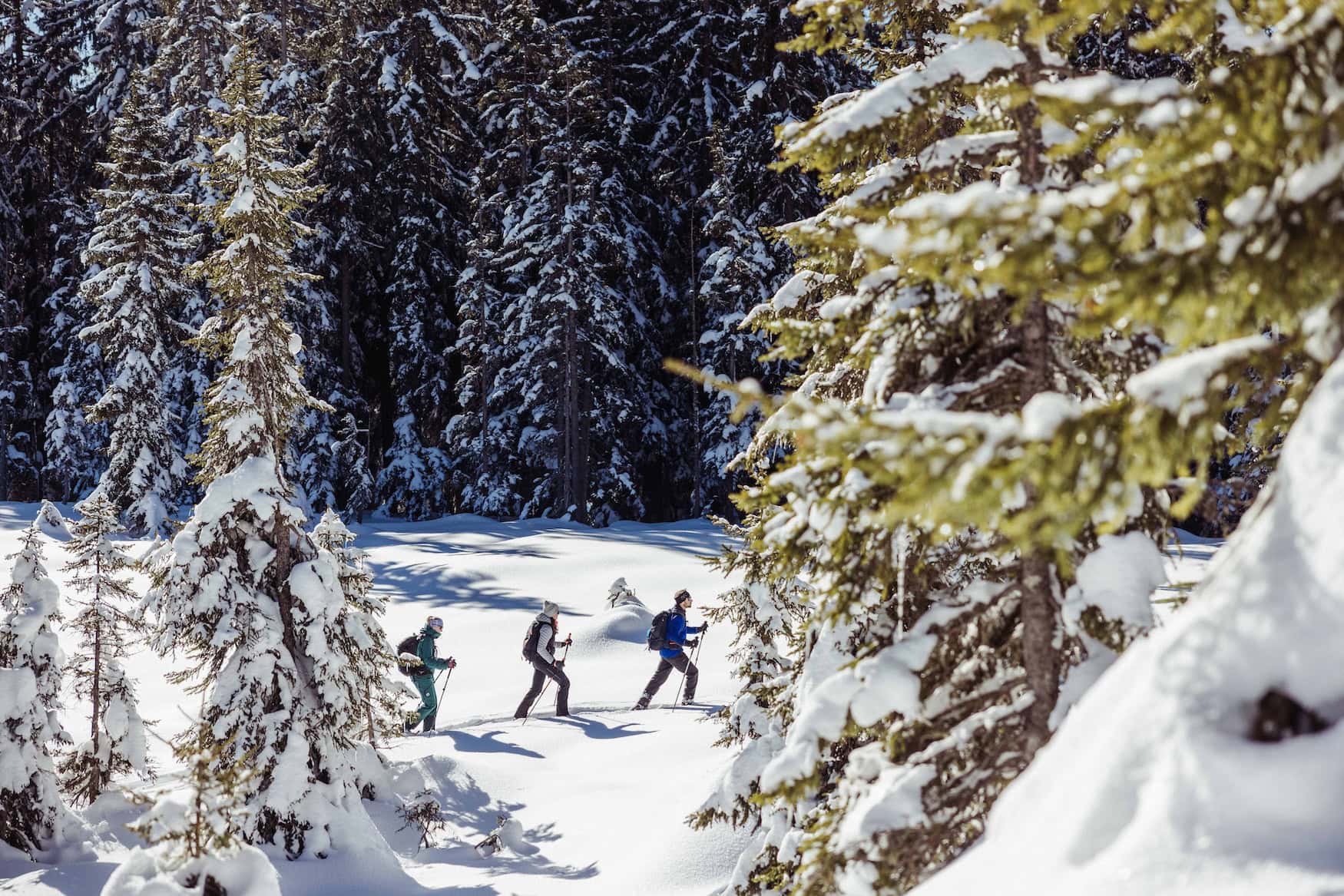 Schneeschuhwandern im Skigebiet Alpbachtal