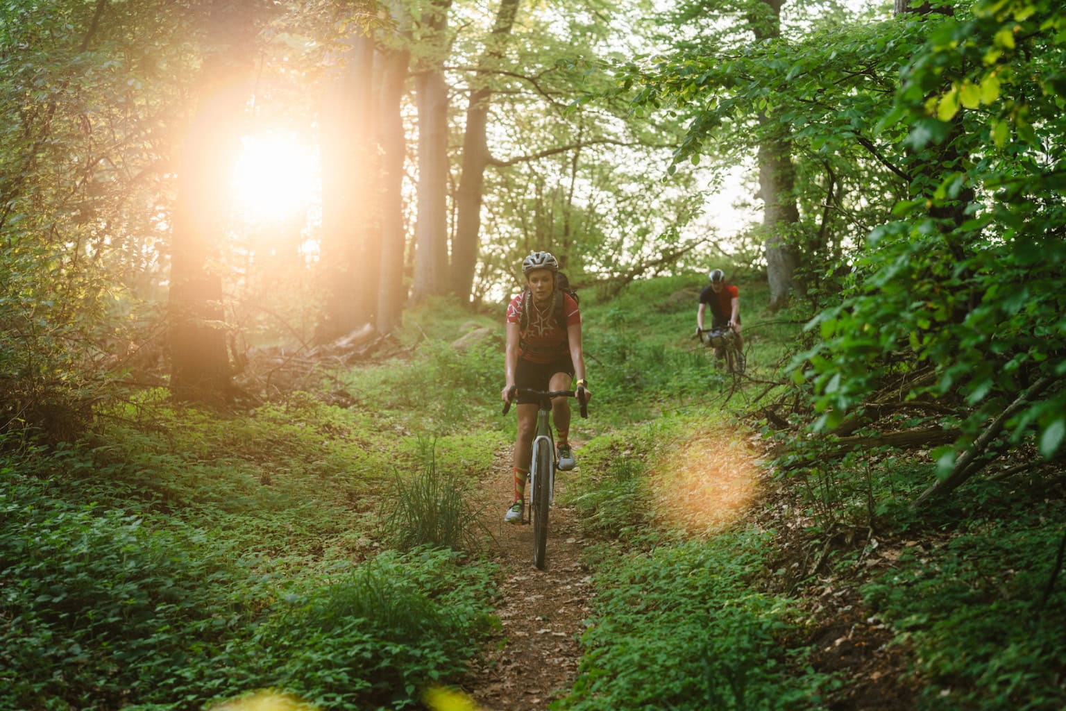 Auf dem Gravelbike durch den Wald im Peenetal