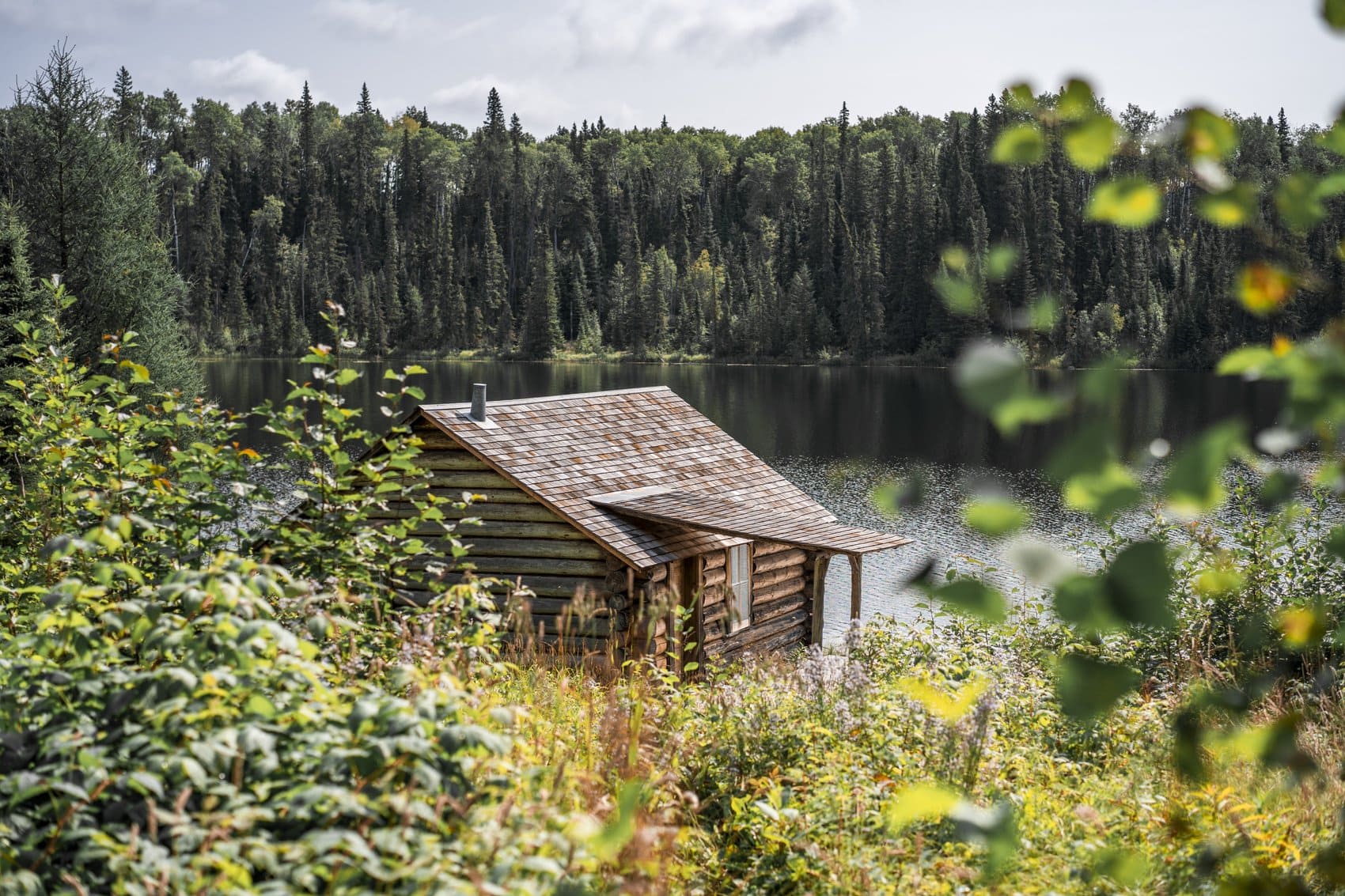 Wildnis pur im Prince Albert National Park! Dichte Wälder, glasklare Seen & freilebende Bären erwarten dich.I Foto: Tyler Cave