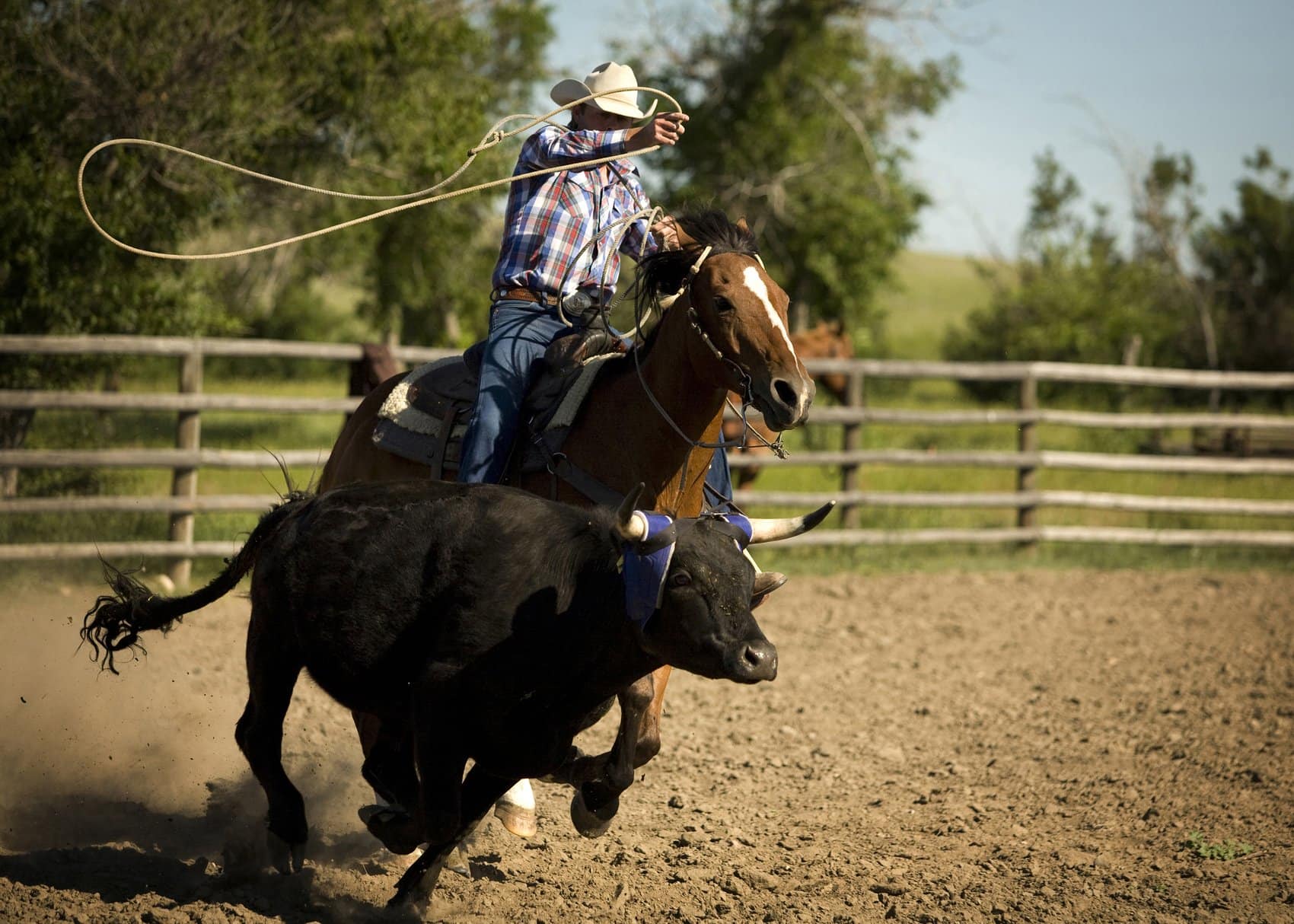 Ranch-Feeling für die ganze Familie! Ob La Reata Ranch oder Historic Reesor Ranch – hier werden Cowboy-Träume wahr! I Foto: Tourism Saskatchewan/Greg Huszar Photography