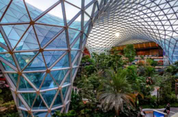 Blick auf den Garten im Hamad International Airport in Doha.