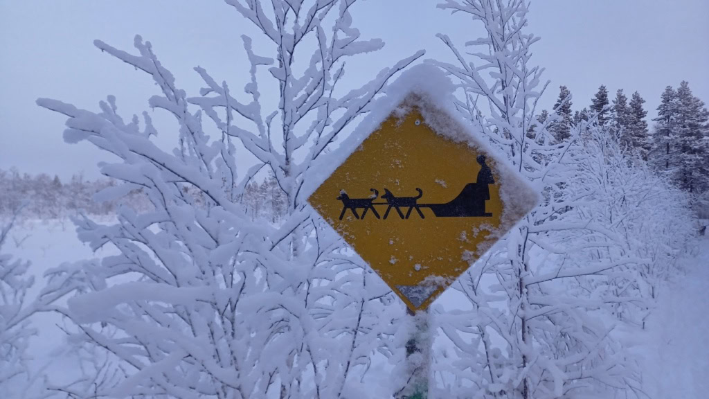 Ein Schild weißt in Lappland auf Hundeschlitten hin.