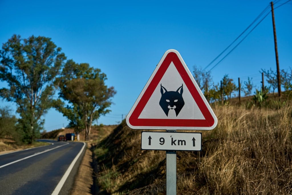 Straßenschilder, die lustig sind: Dazu zählt auch dieses in Portugal, das einen Luchs zeigt.