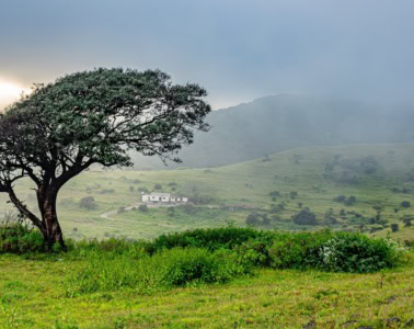 Salalah in Oman.