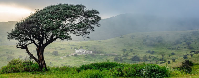 Salalah in Oman.