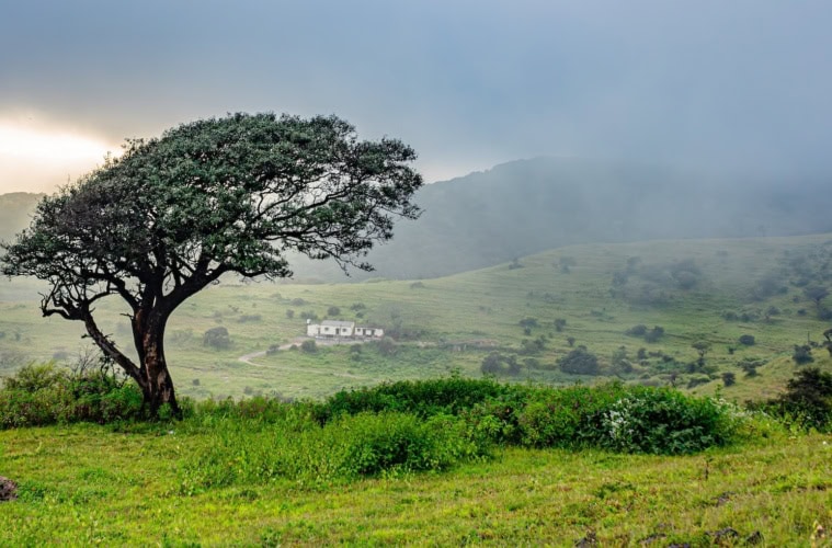 Salalah in Oman.
