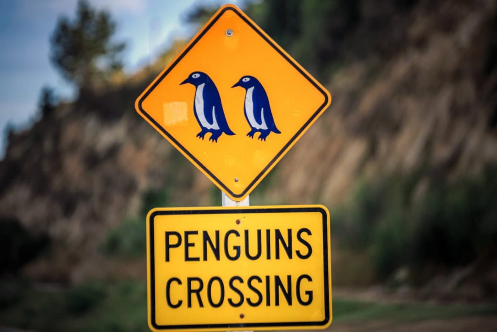 Ein Straßenschild in Neuseeland mahnt Autofahrer, auf Pinguine Acht zu geben.