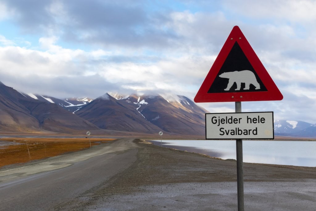 Ein Straßenschild in Norwegen bildet einen Eisbären ab.