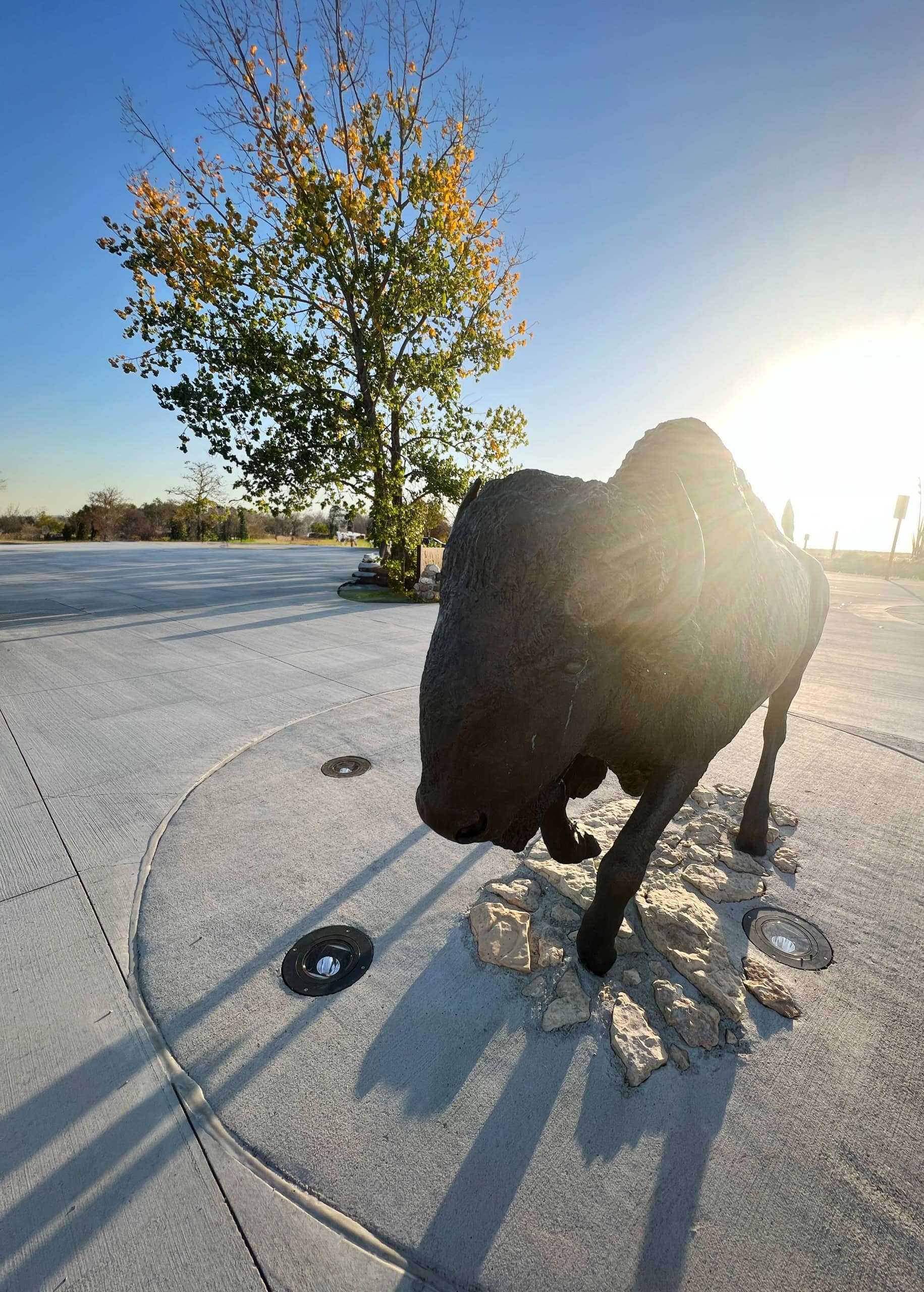 Bison Statue vor Wanuskewin