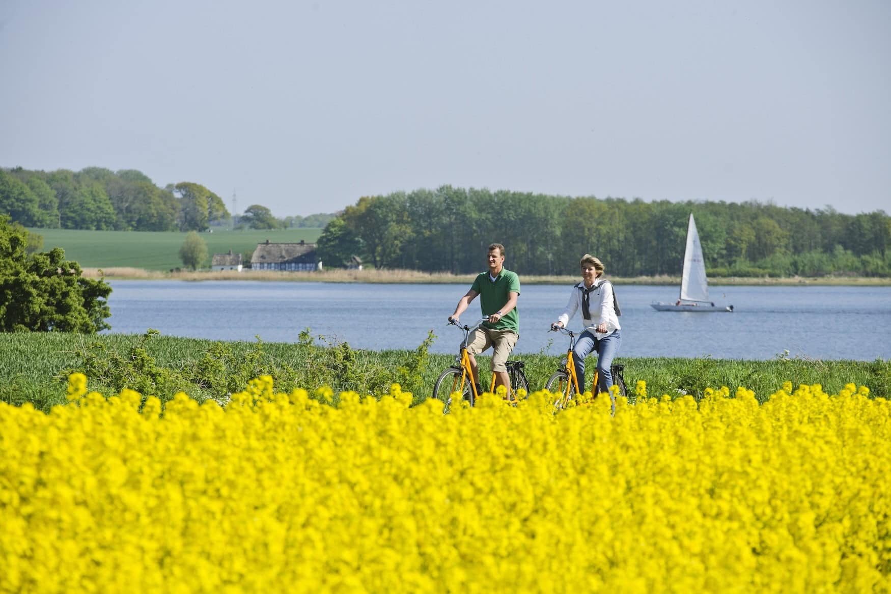 Fahrradfahren an der Schlei