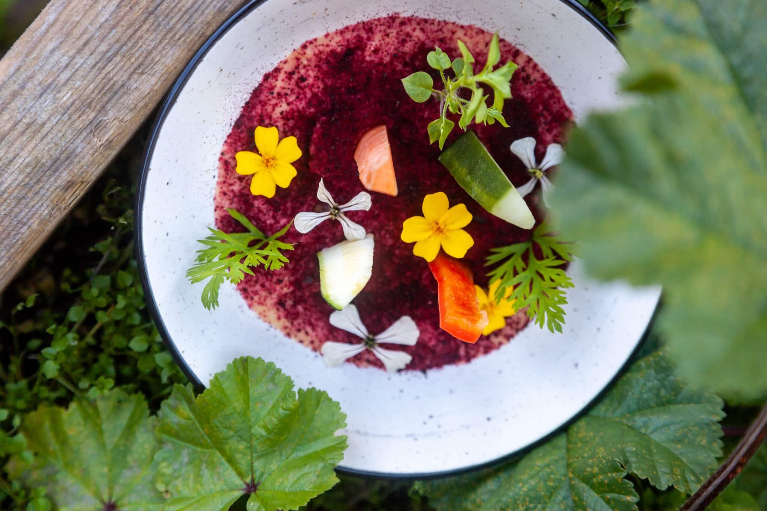 In-diesen-5-veganen-Hotels-werden-Gourmets-fleischlos-gl-cklich