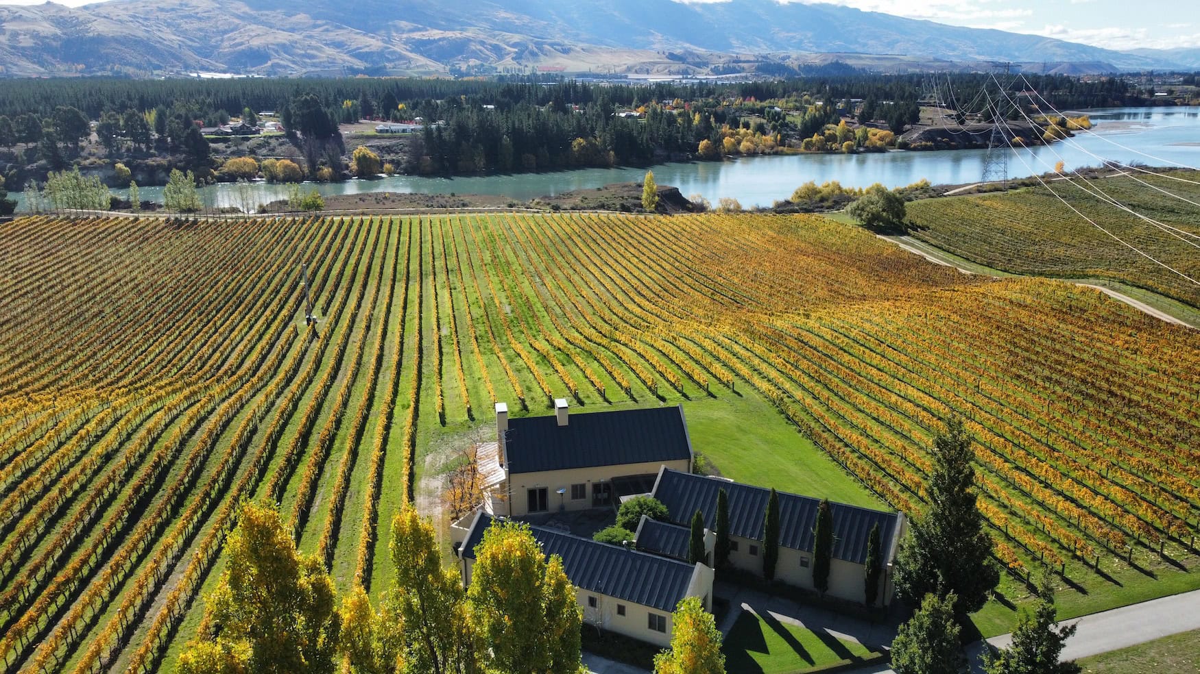 Geheimtipps in Aotearoa: Carrick Winery in der Nähe von Queenstown