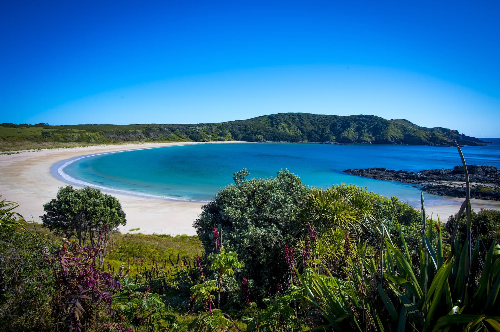 Die Maitai Bay in Aotearoa 