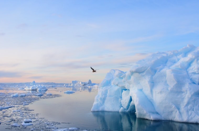 Eisberge auf der Insel Grönland