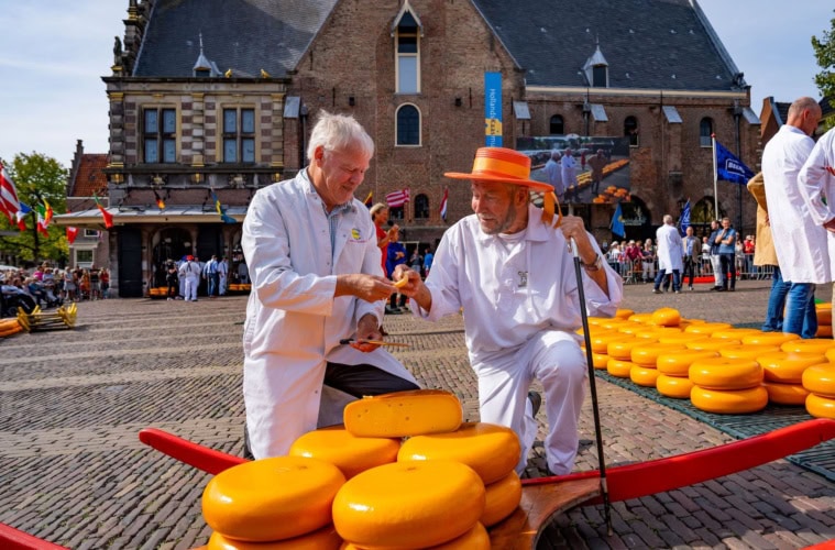 Die Käseprüfer auf dem Käsemarkt in Alkmaar