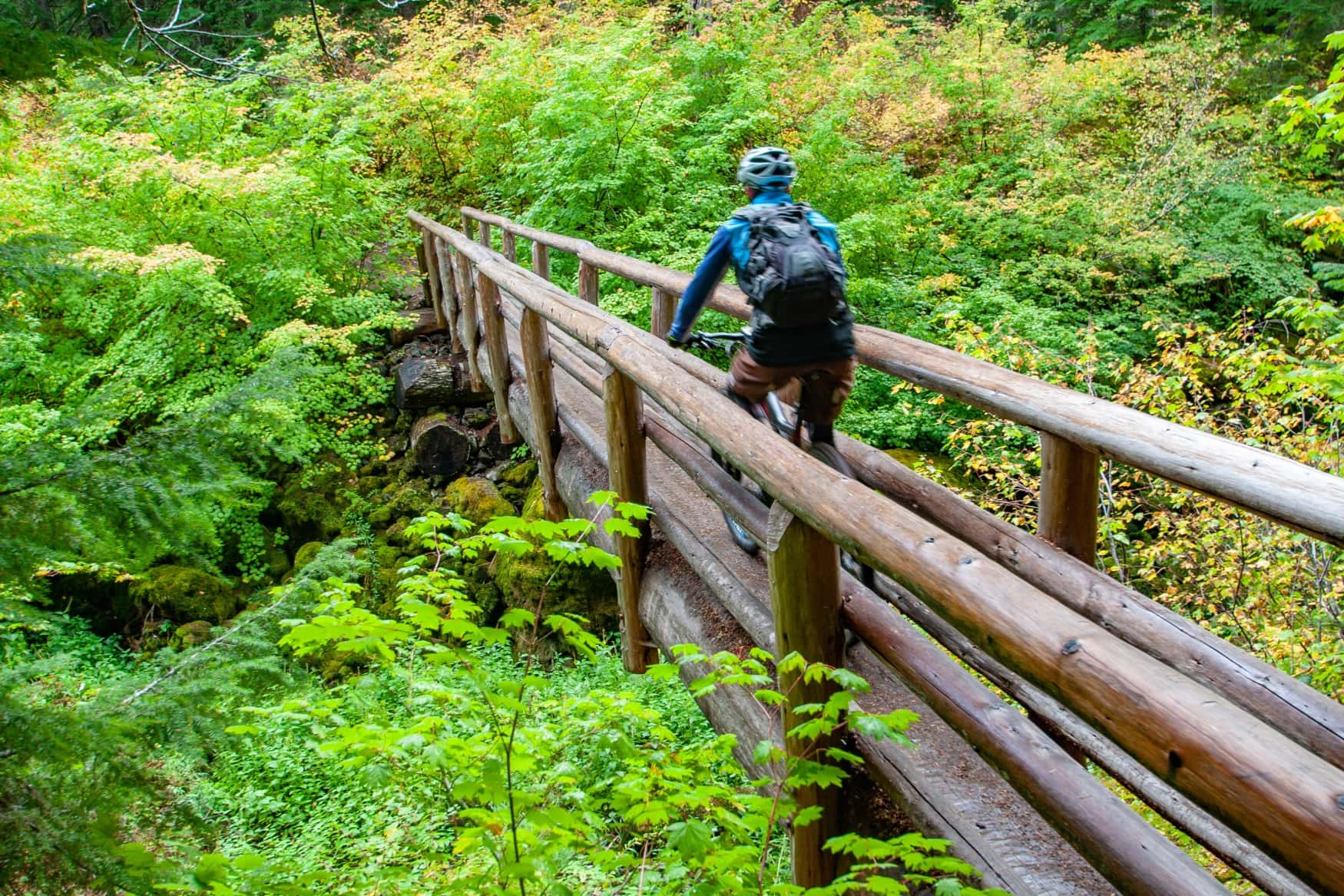 Ein Mann in Sportkleidung fährt auf einem Fahrrad über eine schmale Brücke aus Baumstämmen in einem dichten Wald.