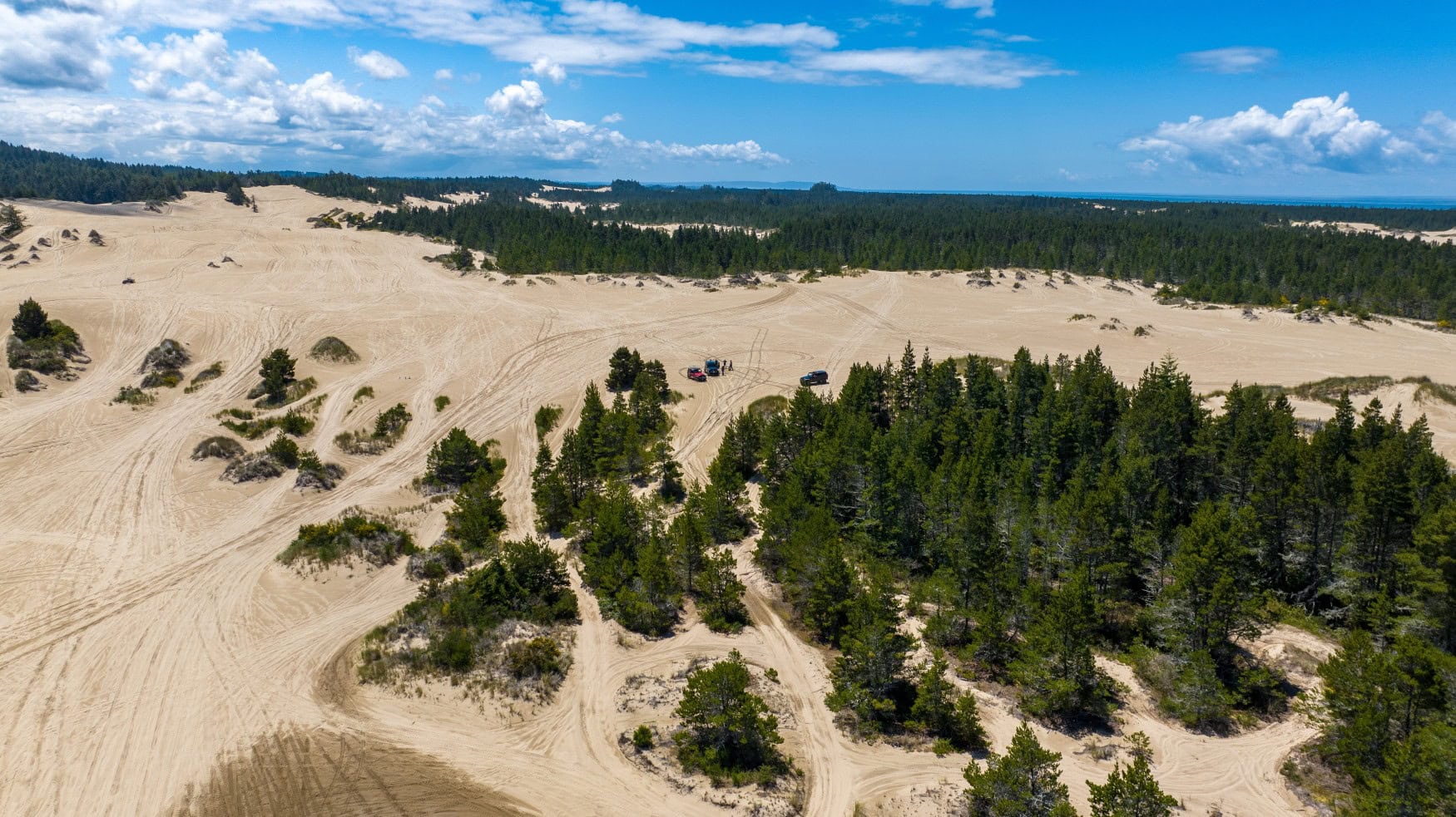 Drohnenaufnahme einer weitläufigen Sanddüne, aus der mehrere Waldstücke herausragen.