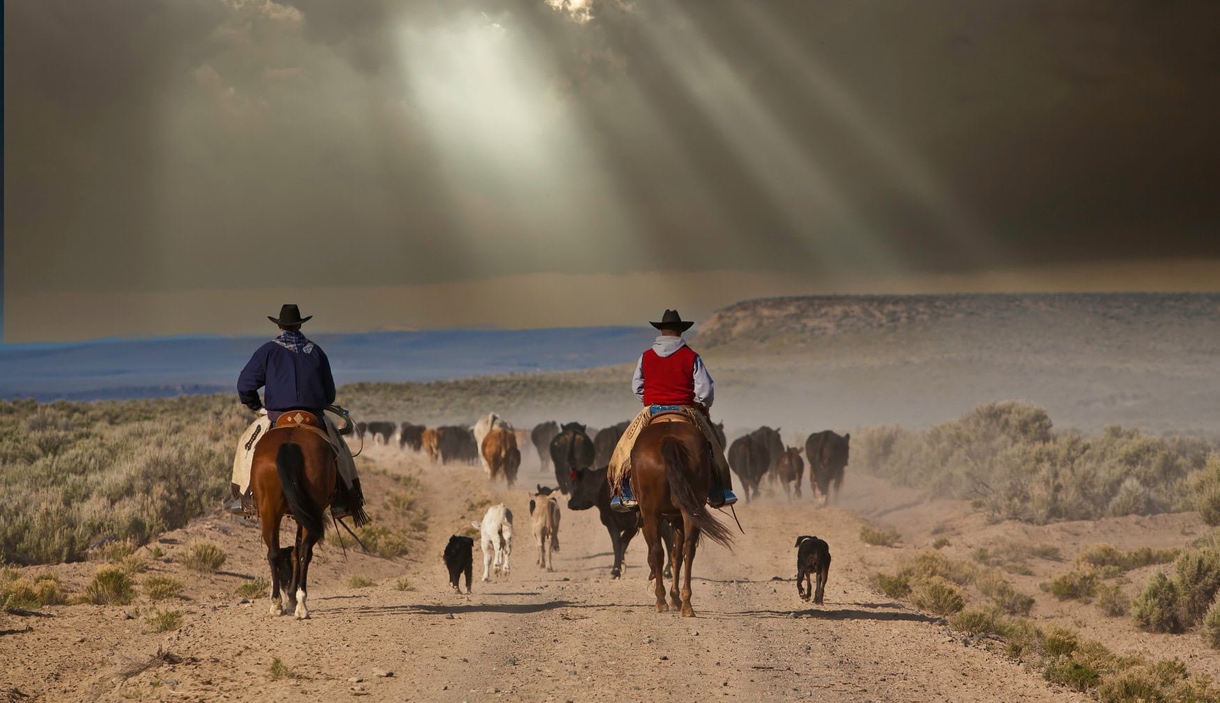 Zwei Cowboys treiben eine Herde Rinder auf einer staubigen Straße Richtung Horizont. Durch die dichte Wolkendecke brechen einige Sonnenstrahlen.