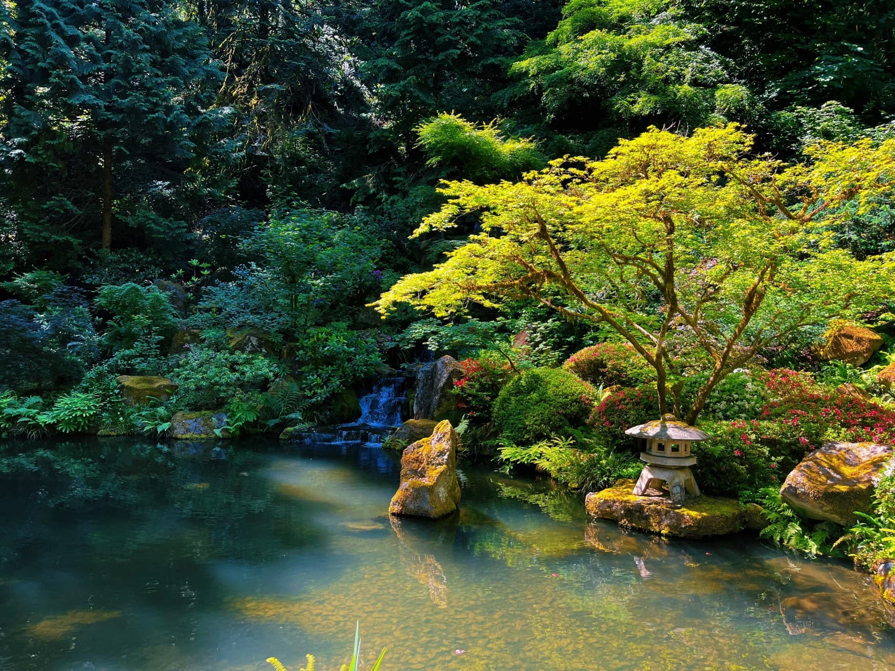 Der Japanische Garten in Portland