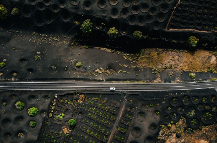 Lanzarote mit dem Auto erkunden: Fahrt durch Weinanbaugebiet La Geria