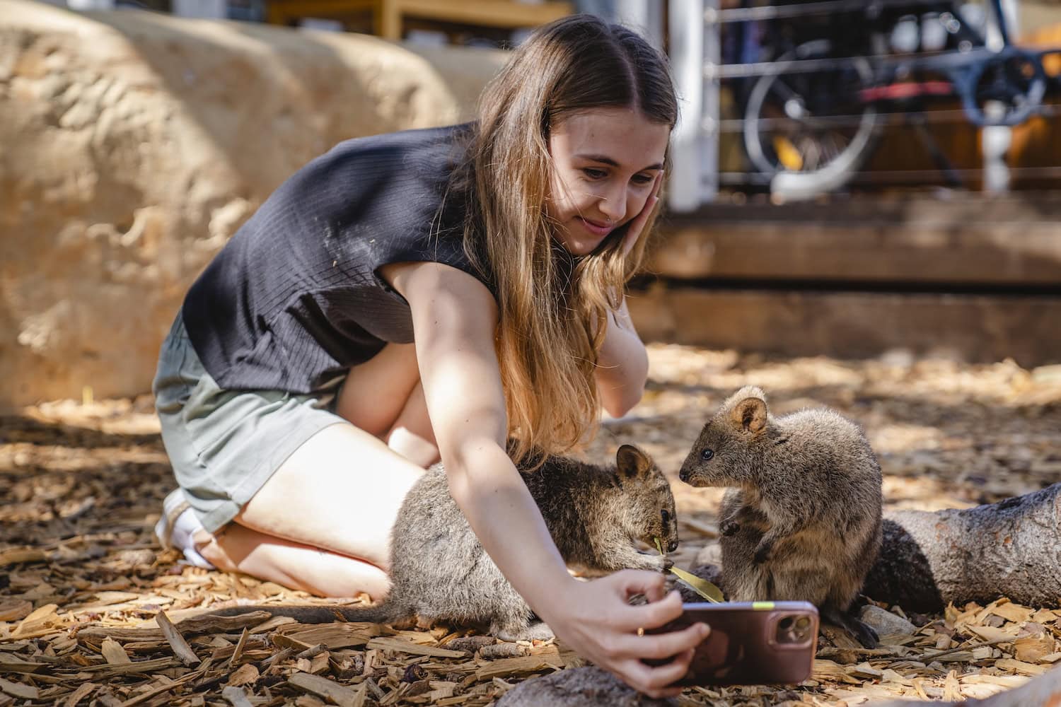 Selfie mit Quokkas auf Rottnest Island