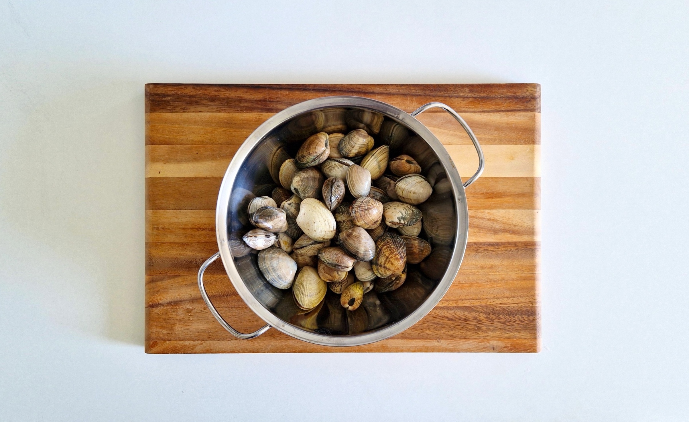 Venusmuscheln in einem Topf.