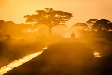filmreifer Sonnenuntergang in Afrika