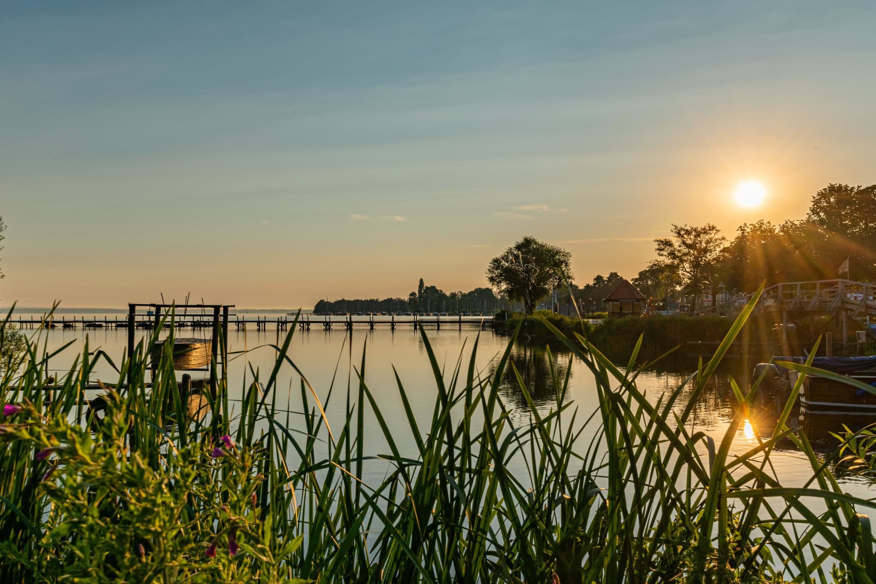 Über dem Steinhuder Meer geht die Sonne unter; im Vordergrund einige Grashalme.