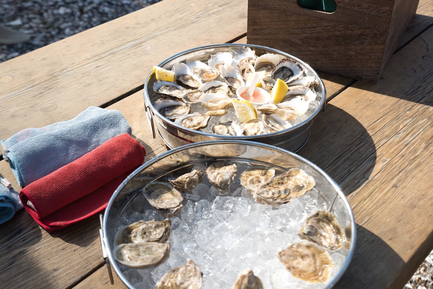 Austern nähe Seattle in der Westcott Bay Shellfish & Co