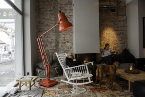 Gemütlichkeit pur im Inselloft – mit Hund