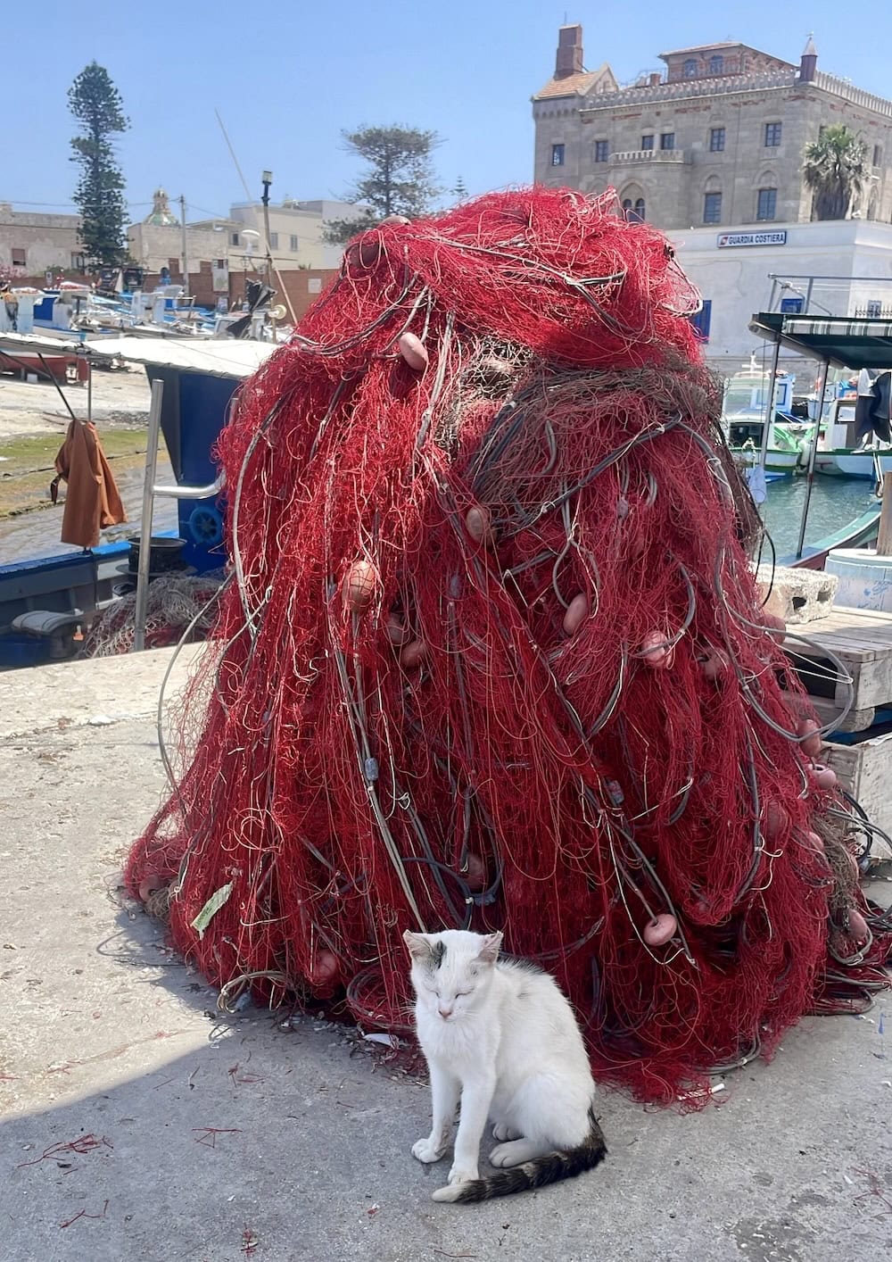 Am Hafen von Favignana mischen sich Touristen mit Fischern und streunenden Katzen