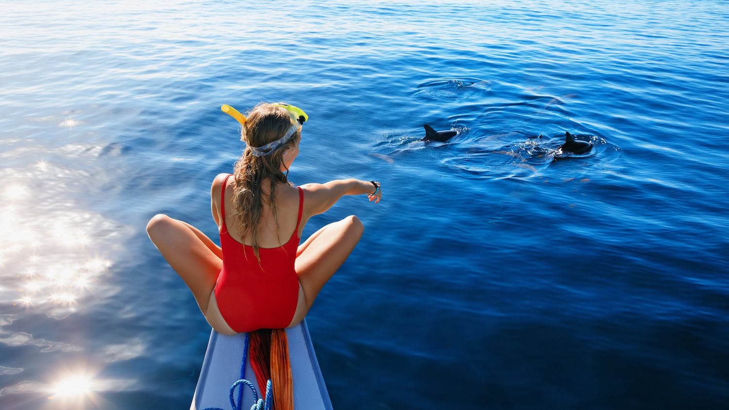 Kind auf Segelboot sieht Delfine im Wasser
