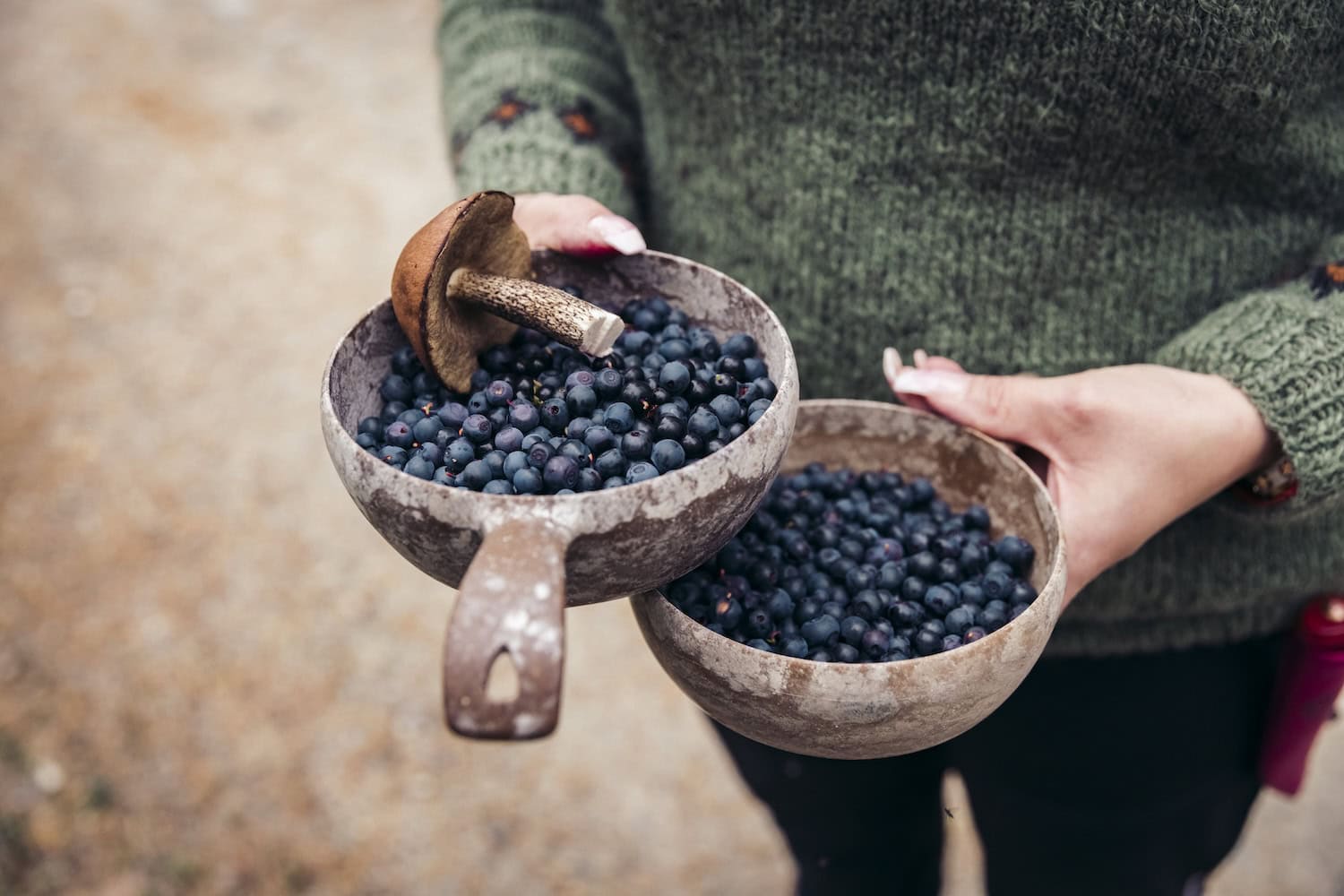 Blaubeeren und Pfifferlinge in einer Schale in Taivalkoski in Finnland