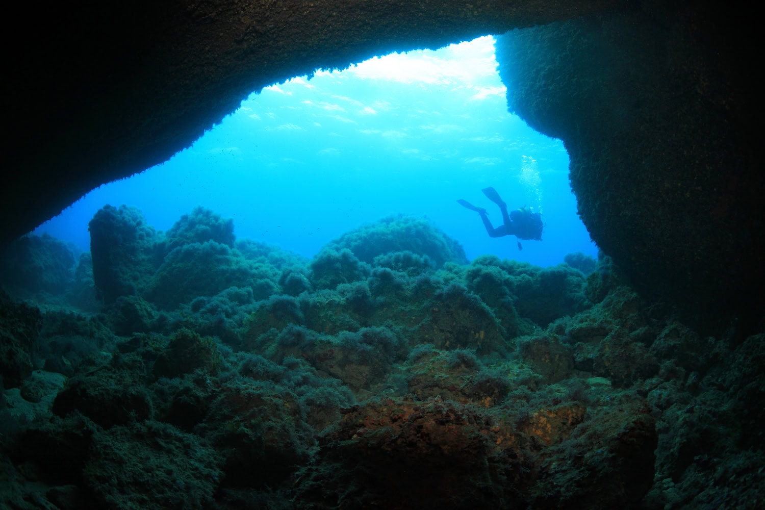 Taucher im Mittelmeer