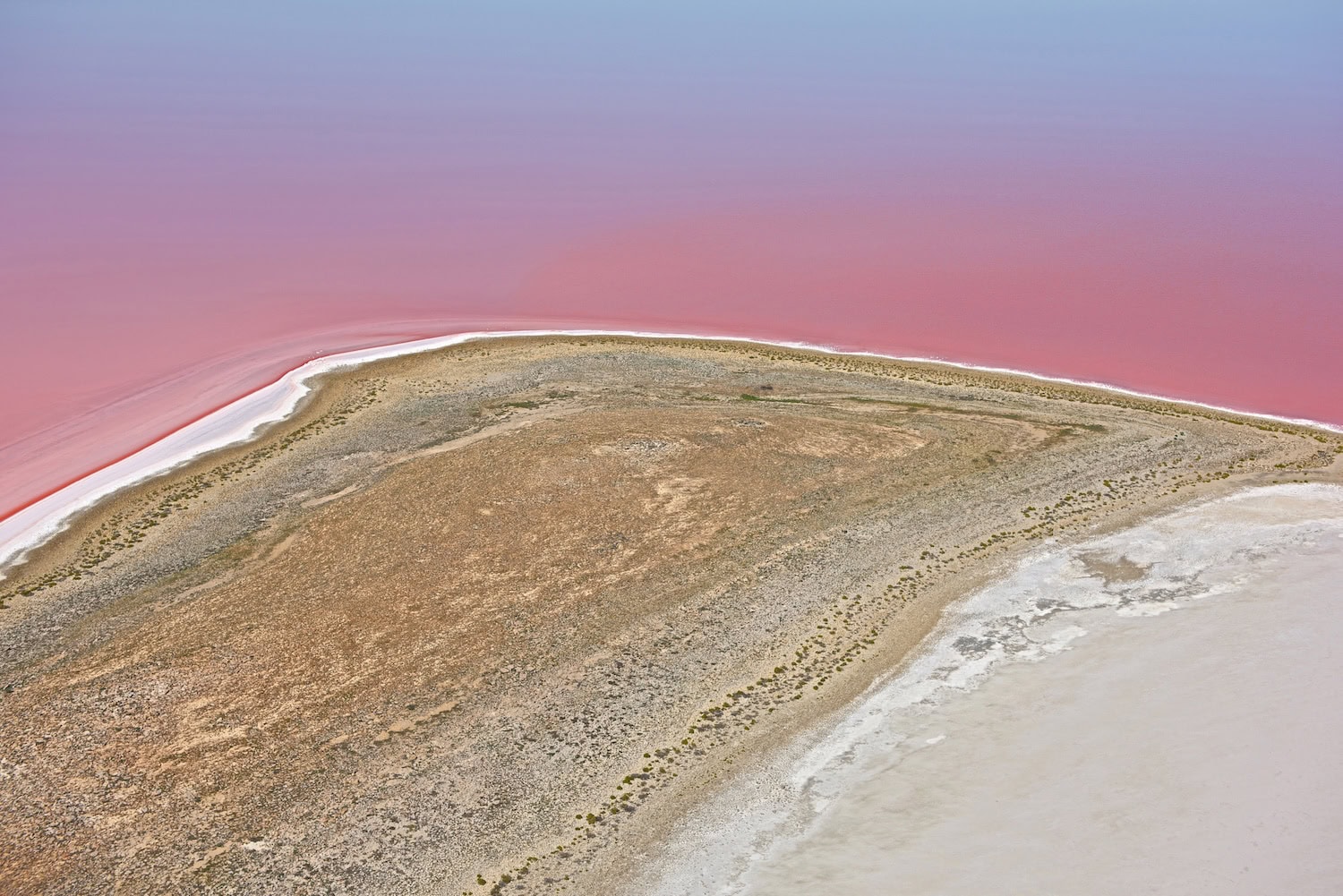 Ufer des Lake Eyre mit pinkem Wasser