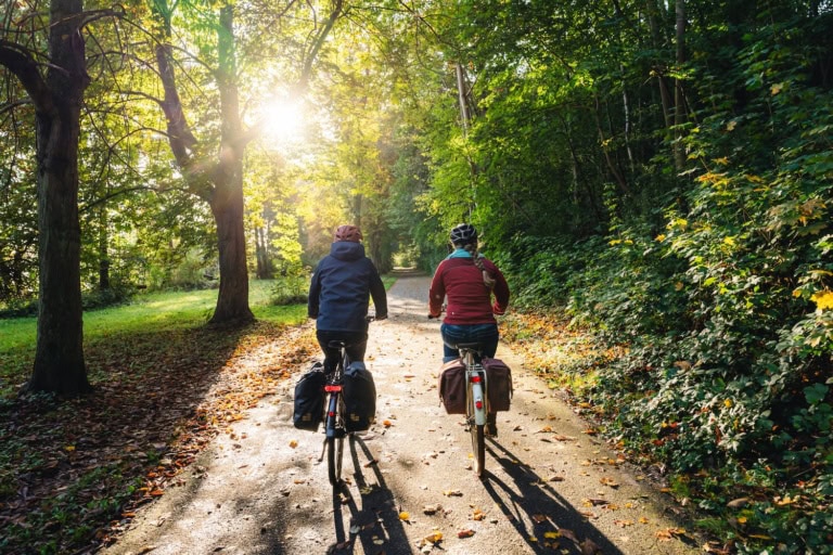 Zwei Fahrradfahrer von hinten im Wald und Gegenlicht