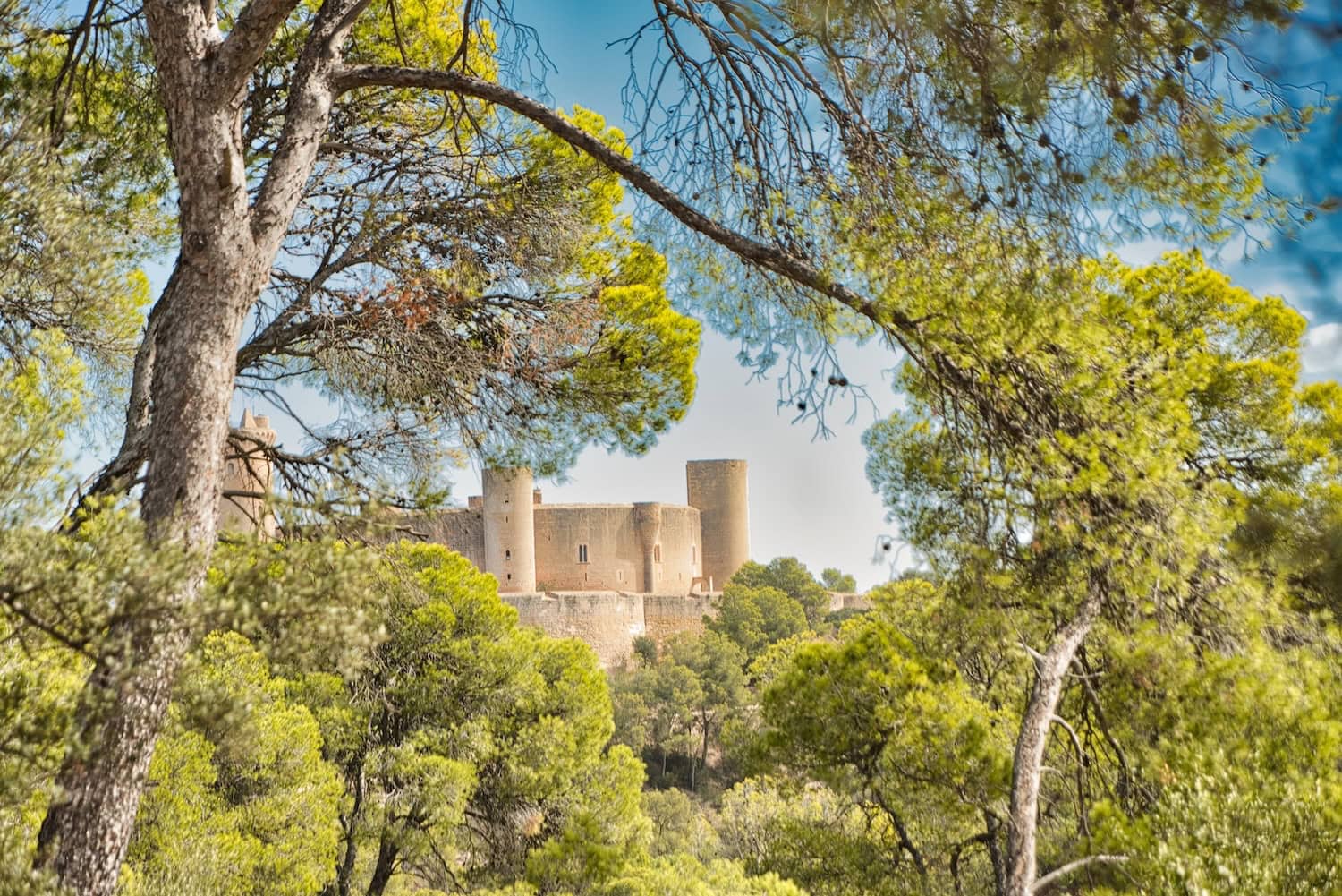 Der Bellver-Park mit Schloss in Palma de Mallorca