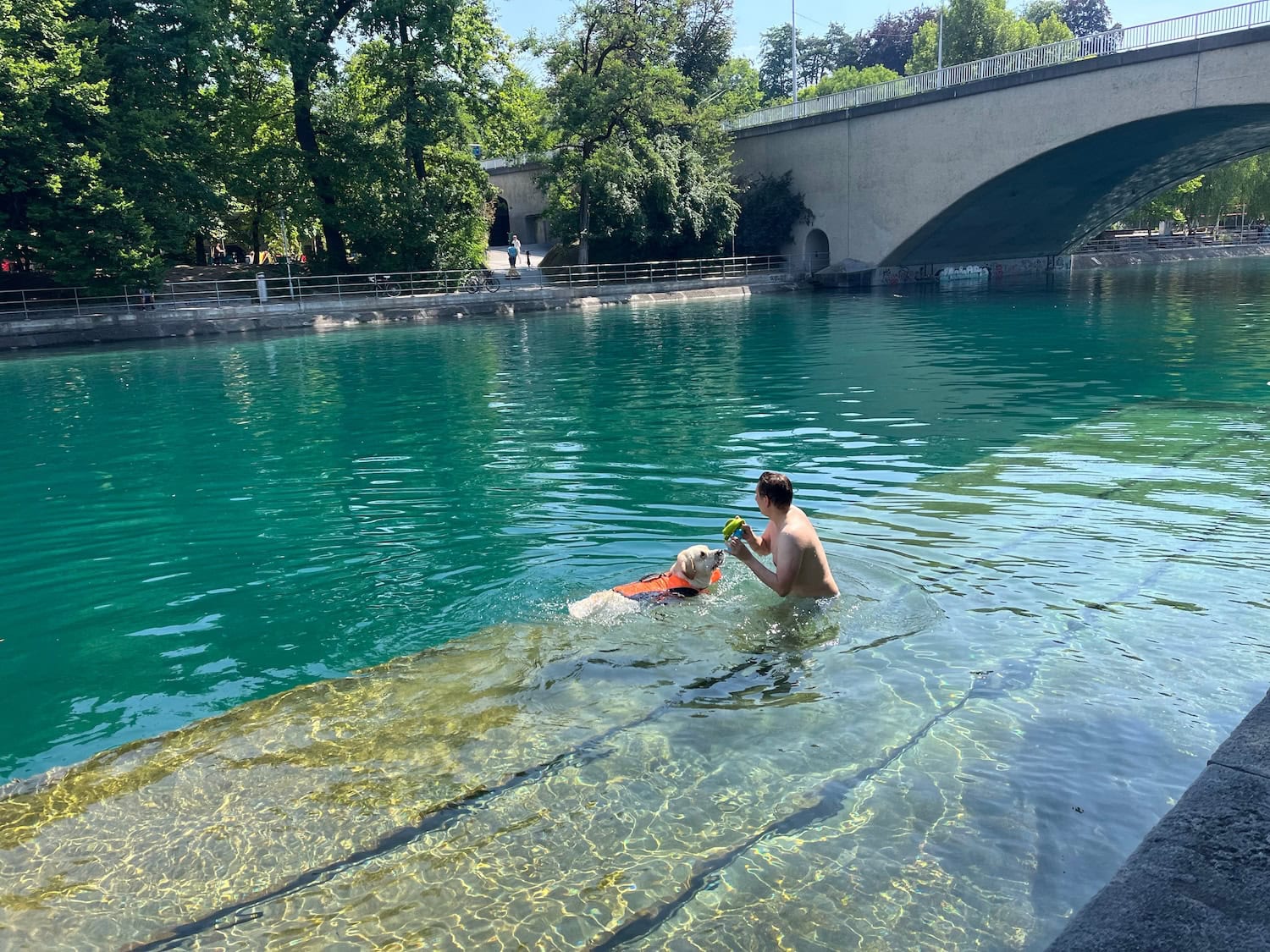 ein Mann schwimmt mit seinem Hund im klaren Wasser des Flusses Limit in Zürich