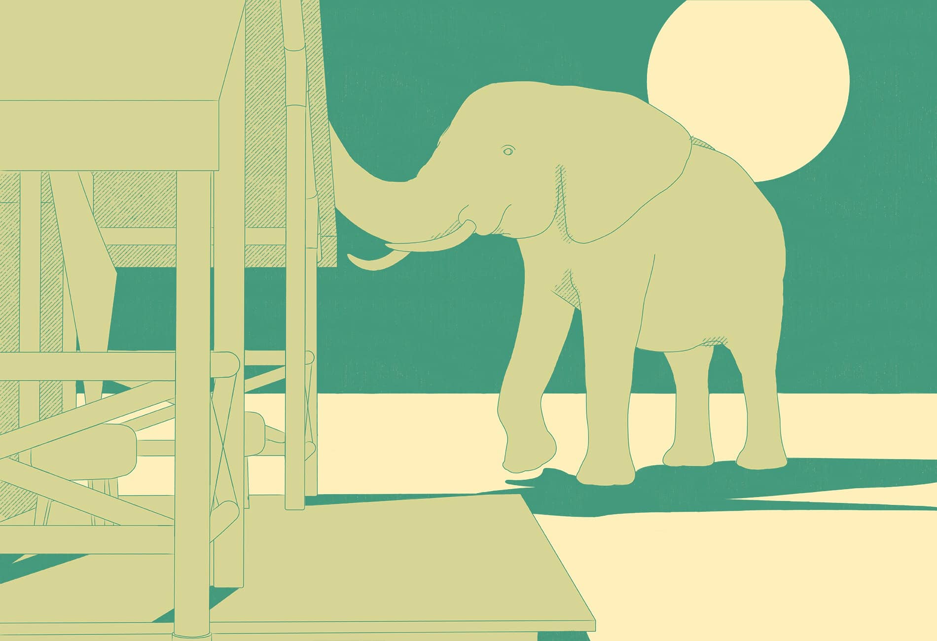 Eine Elefant steht vor einem Zelt. 