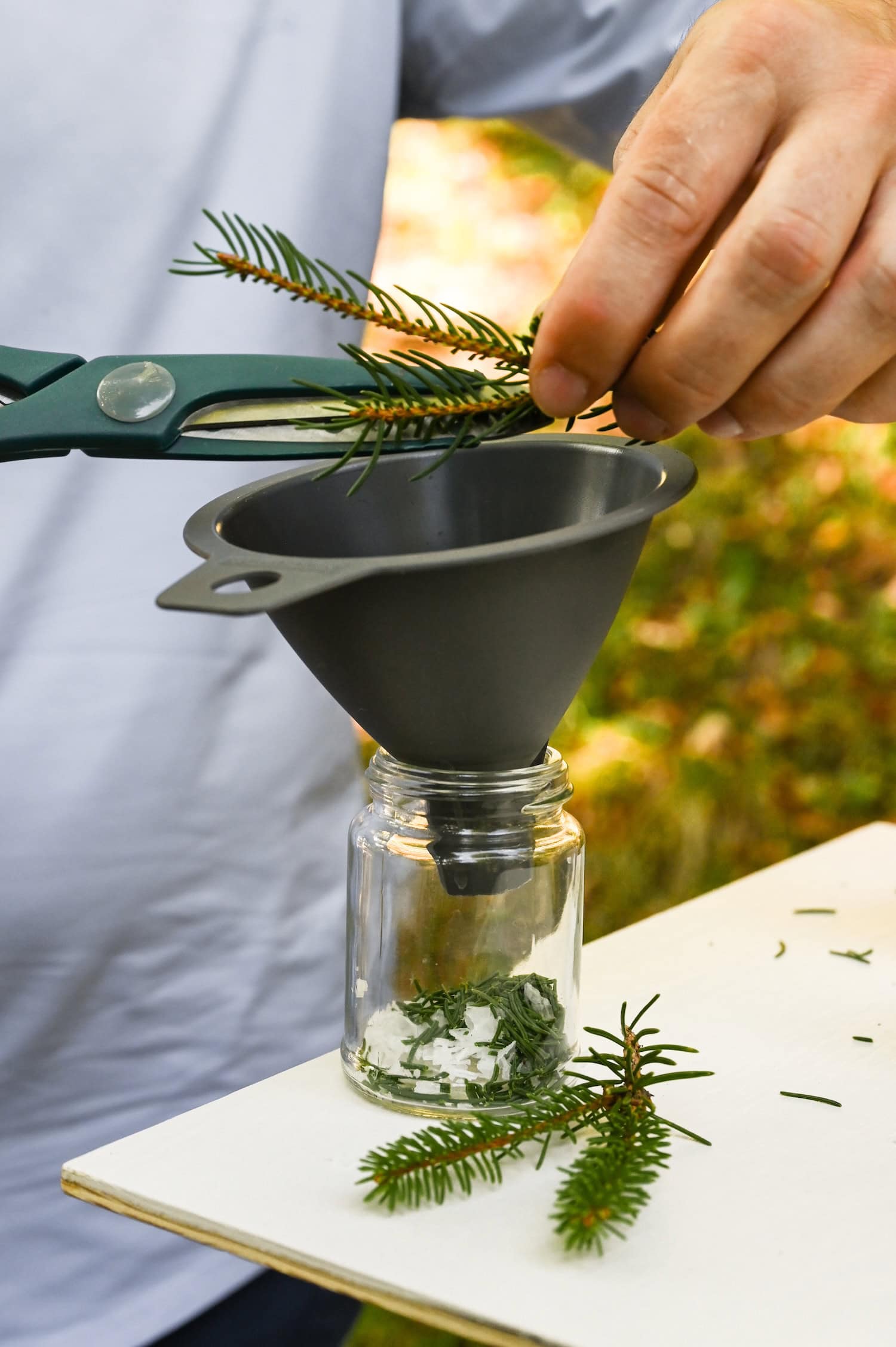 Tannenzweige werden über einem Glas geschnitten