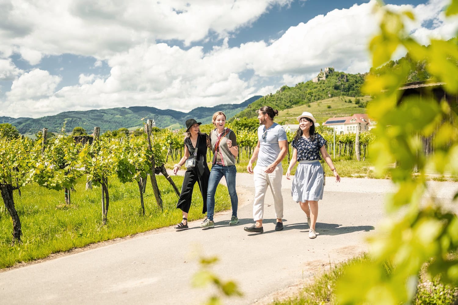 Frauen wandern durch die Weinberge