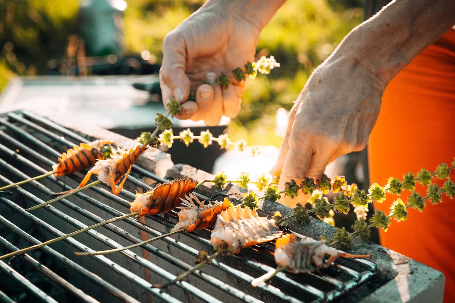 Lobster auf dem Grill bei den »Mostviertler Feldversuchen«