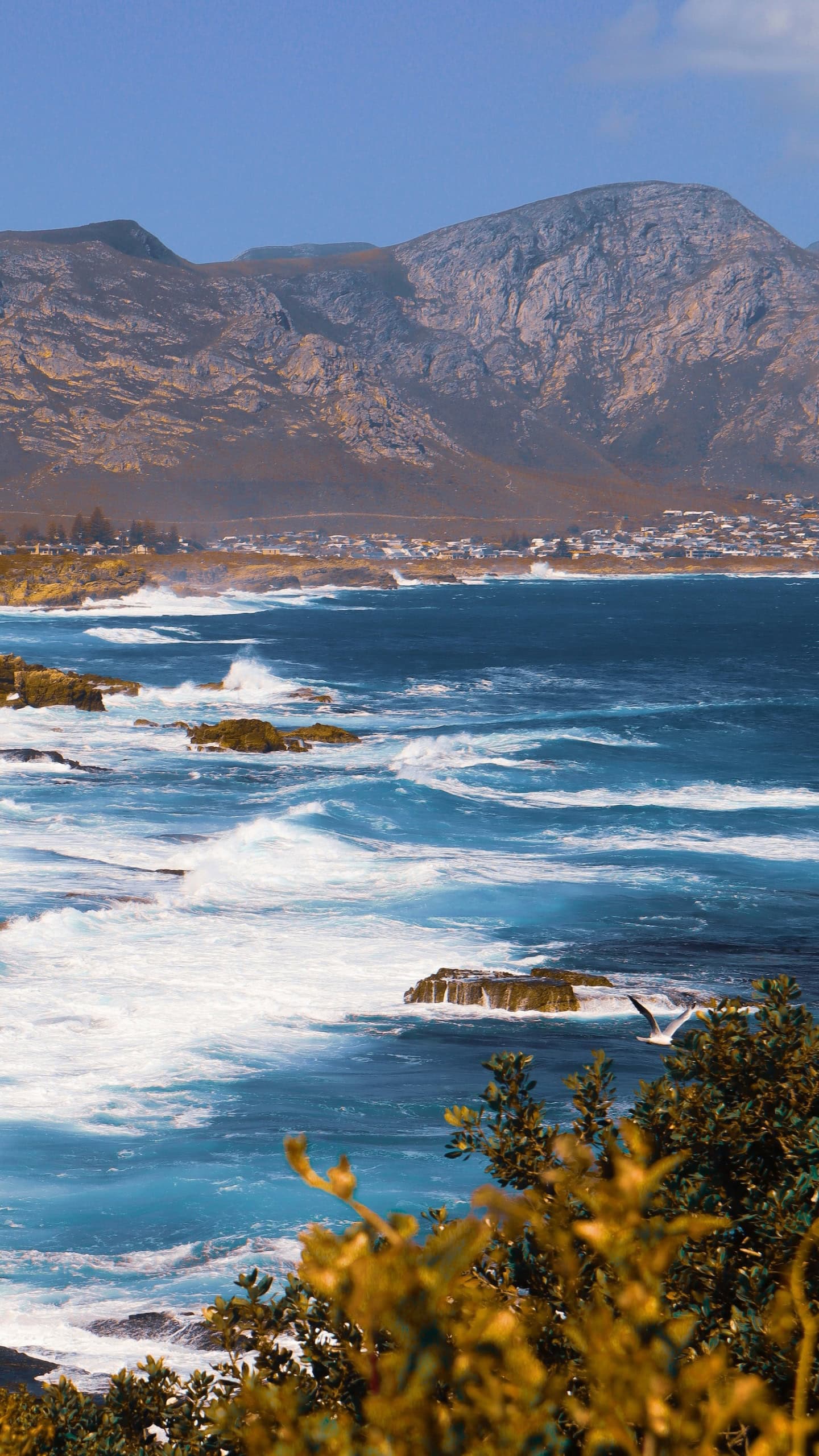 Küste an der Walhauptstadt Südafrikas Hermanus