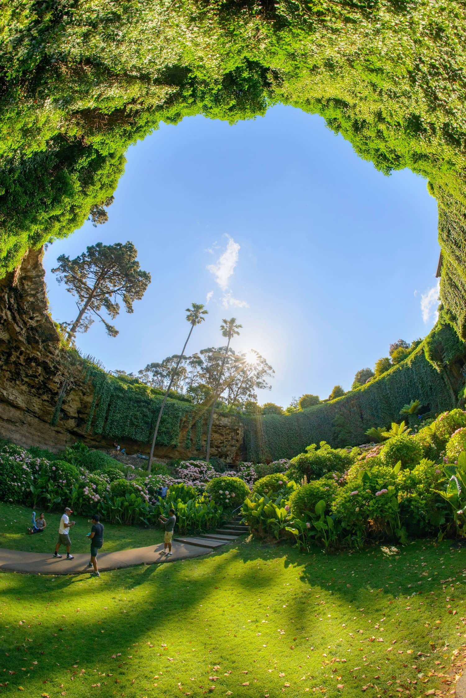 Blick aus dem Umpherston Sinkhole mit allerlei Pflanzen