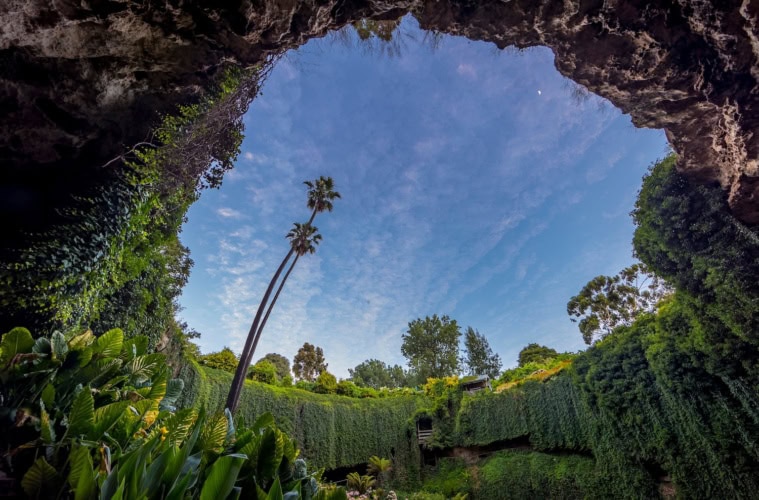 Das Umpherston Sinkhole in Südaustralien mit vielen exotischen Pflanzen