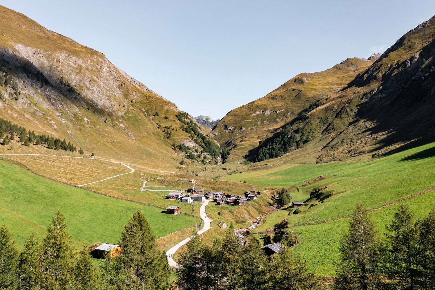 Fane Alm in Gitschbger Jochtal