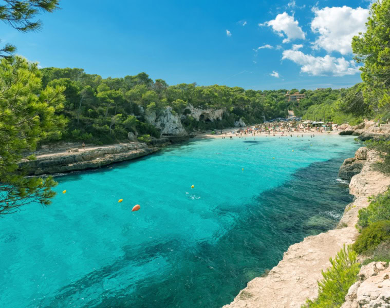 Eine paradiesische Bucht auf Mallorca mit türkisblauem Wasser, umgeben von hellem Sandstrand und dichtem, grünem Wald.