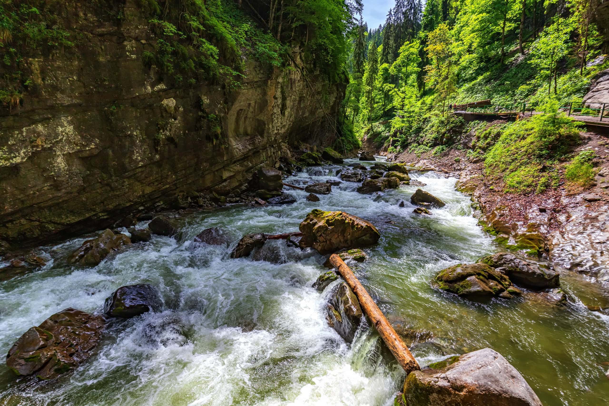 Die Breitachklamm in Bayern ist das Naturwunder des Jahres 2025.